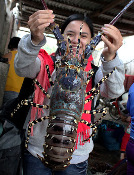 Phu Quy, red king crab, salangane nests, expensive foods