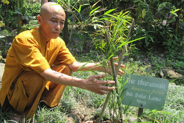 Buddhist monk, Son Tra Mountain, Quan The Am Pagoda