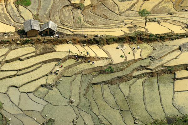 Lao Cai, terraced fields, Bat Xat District