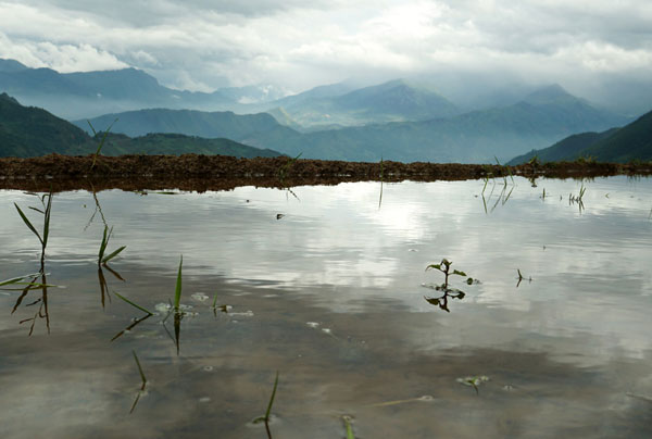 Lao Cai, terraced fields, Bat Xat District