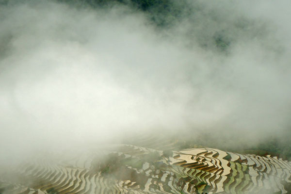 Lao Cai, terraced fields, Bat Xat District