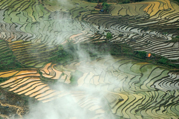 Lao Cai, terraced fields, Bat Xat District