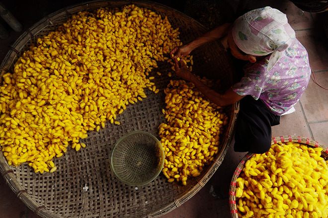 Image: The beauty of Nam Dinh