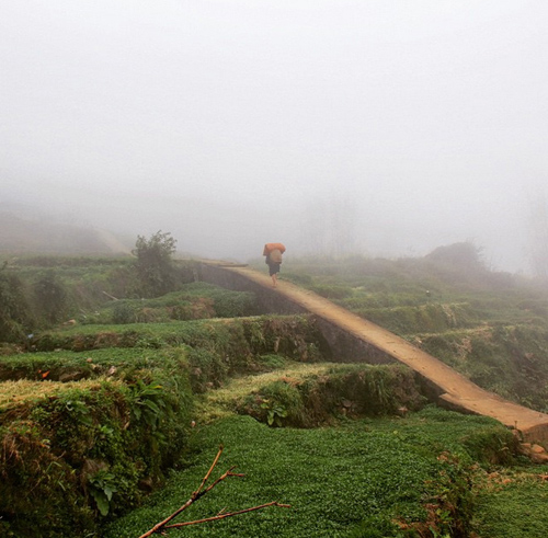 Vietnam through the lens of international travelers