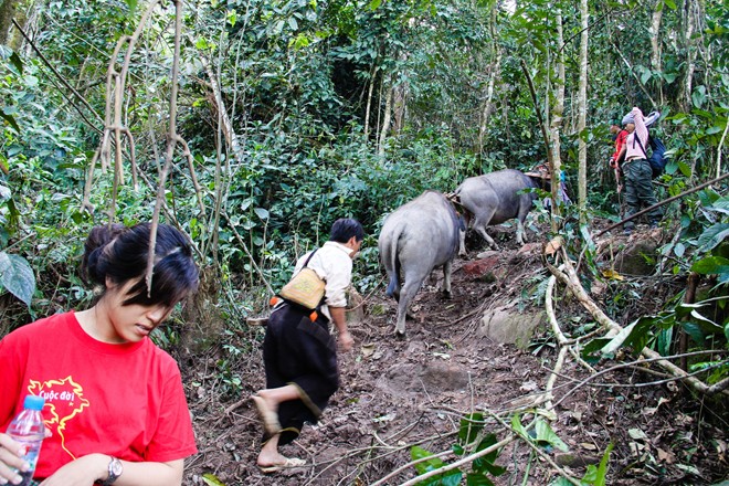 Conquer Pha Luang Mount – the roof of Moc Chau