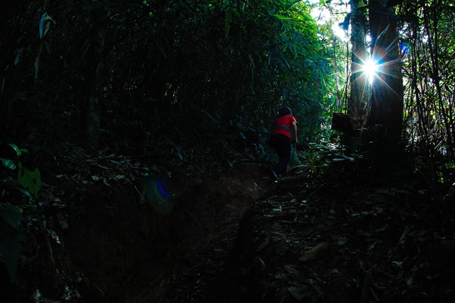 Conquer Pha Luang Mount – the roof of Moc Chau