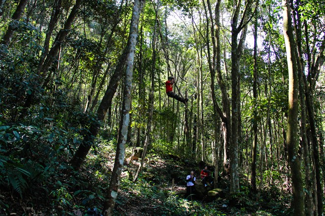 Conquer Pha Luang Mount – the roof of Moc Chau