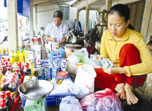 Vietnam, VCCI, business households