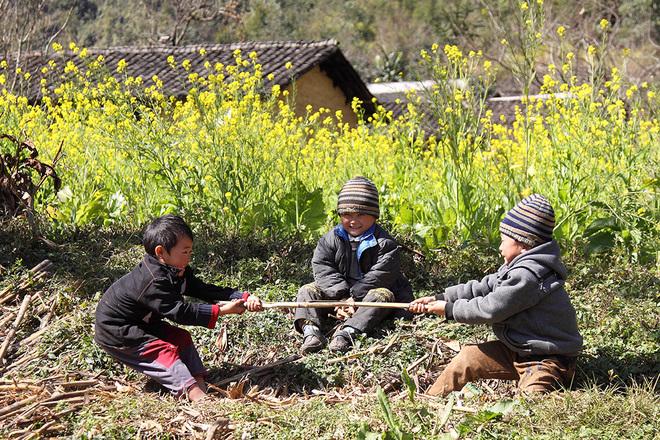 The Northwest vietnam in the sunshine