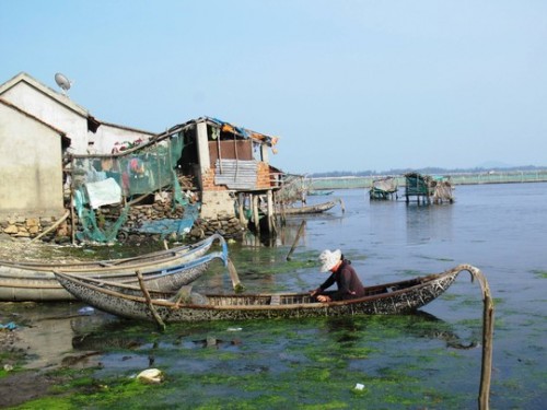 Vietnam, O Loan lagoon, environment pollution,