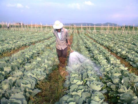 Vietnam spends $463 million on imported pesticides