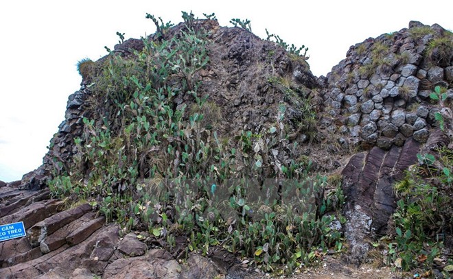 Ganh Da Dia - Giant “beehive” in Phu Yen sea