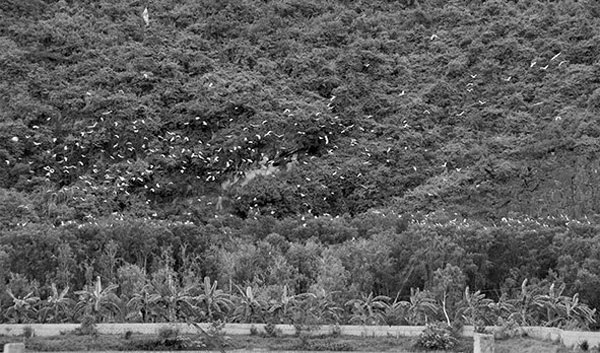 Ninh Binh, Van Long Nature Reserve, Tam Coc-Bich Dong National Park