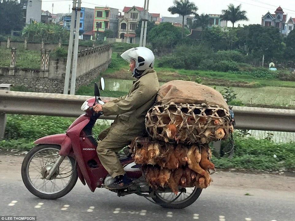 Unique VN vehicles through the lens of foreign photographers