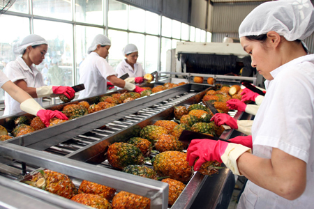 Vietnam, tropical fruits, visa, export turnover