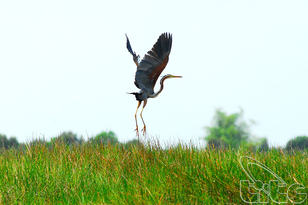 Discover seven destinations in the Mekong Delta