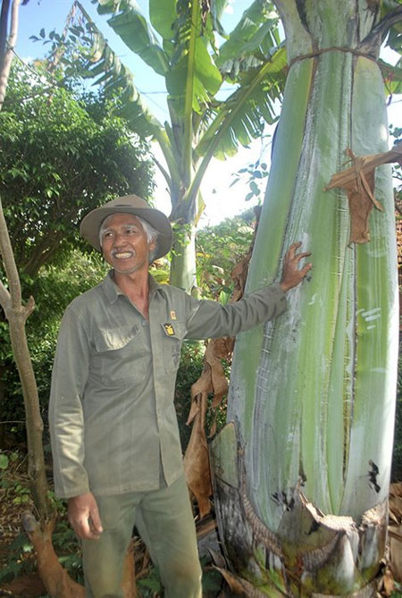 Buon Ma Thuot City, Ako Dhong Village, Ede people, traditional house