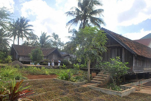 Buon Ma Thuot City, Ako Dhong Village, Ede people, traditional house