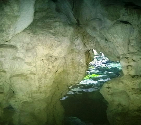 New cave discovered in Phong Nha