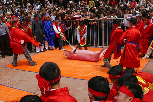 Pig-chopping ritual to be held next year, but not in public