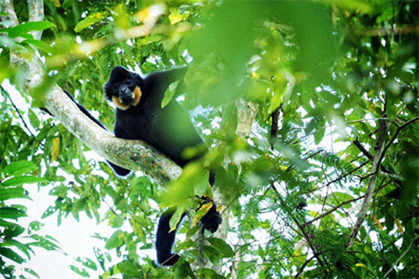 Cultural traditions, Cat Tien National Park, wildlife adventure tours