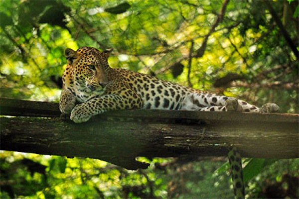 Cultural traditions, Cat Tien National Park, wildlife adventure tours