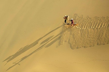 Vietnamese artists win prizes at New Zealand photo competition, photographer viet van, yellow umbrella