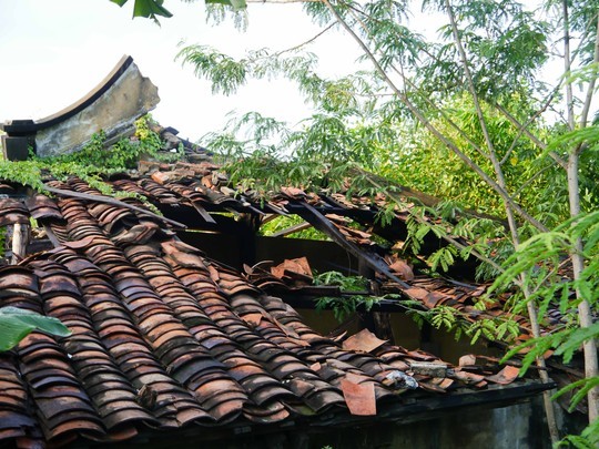 US$2.5 million for restoration of Saigon’s 200-year pagoda,giac vien pagoda, ancient pagodas in vietnam, Vietnam culture, Vietnam tradition, Vietnam beauty, news Vietnam, Vietnam news, Vietnam net news, vietnamnet news, vietnamnet bridge