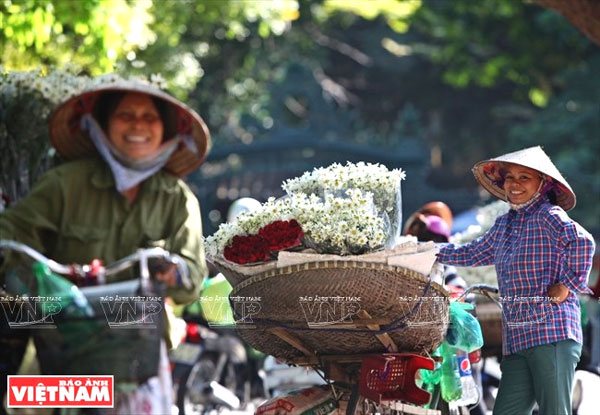 Oxeye Daisies, Hanoi, gardens, outskirts, Vietnam economy, Vietnamnet bridge, English news about Vietnam, Vietnam news, news about Vietnam, English news, Vietnamnet news, latest news on Vietnam, Vietnam