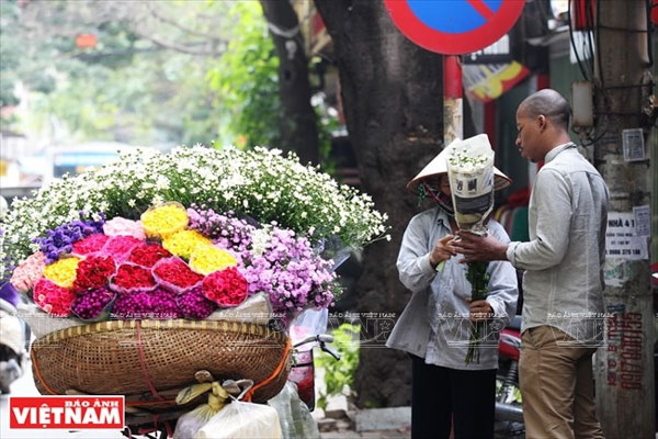 Oxeye Daisies, Hanoi, gardens, outskirts, Vietnam economy, Vietnamnet bridge, English news about Vietnam, Vietnam news, news about Vietnam, English news, Vietnamnet news, latest news on Vietnam, Vietnam