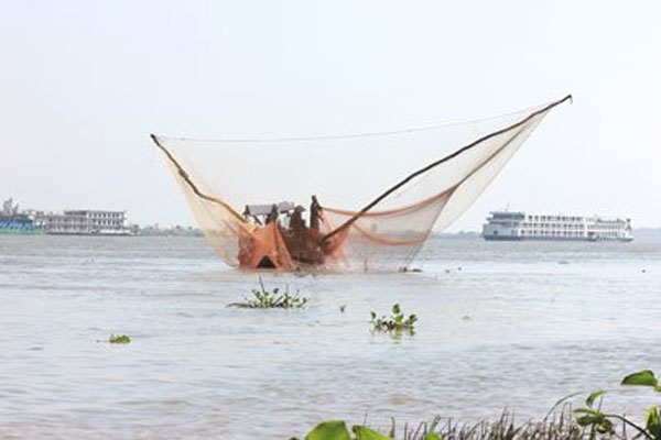 Linh fish, flooding season, Mekong Delta, Vietnam economy, Vietnamnet bridge, English news about Vietnam, Vietnam news, news about Vietnam, English news, Vietnamnet news, latest news on Vietnam, Vietnam