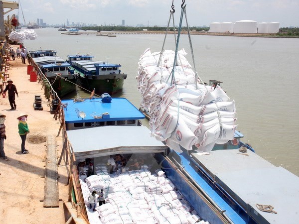 Medical equipment corporation equitisation plan endorsed, Vietnam’s rice export surpasses yearly target, Cement sales drop overseas, increase at home, Companies plan big dividend payments by year-end