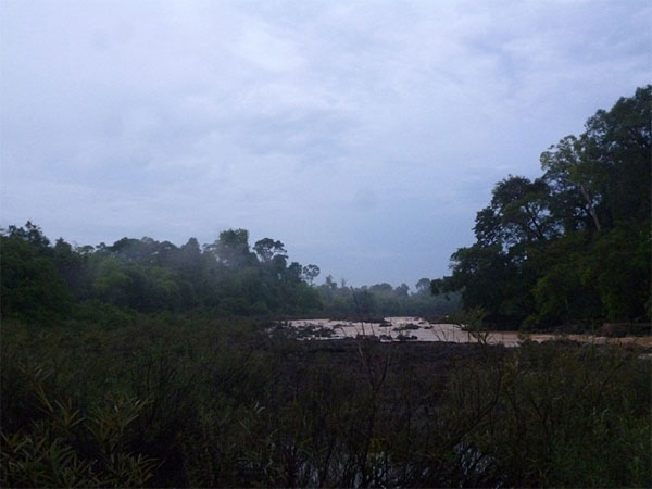 Nam Cat Tien National Park, biodiverse area, lowland tropical rainforest, Vietnam economy, Vietnamnet bridge, English news about Vietnam, Vietnam news, news about Vietnam, English news, Vietnamnet news, latest news on Vietnam, Vietnam