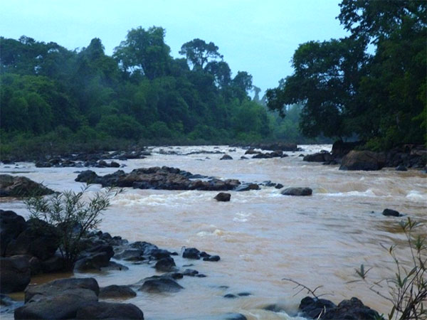 Nam Cat Tien National Park, biodiverse area, lowland tropical rainforest, Vietnam economy, Vietnamnet bridge, English news about Vietnam, Vietnam news, news about Vietnam, English news, Vietnamnet news, latest news on Vietnam, Vietnam