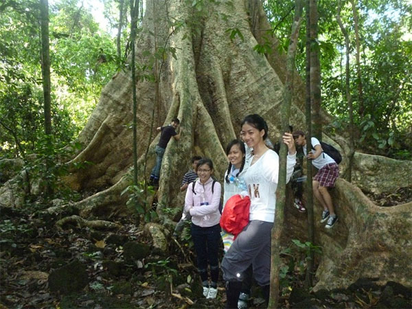 Nam Cat Tien National Park, biodiverse area, lowland tropical rainforest, Vietnam economy, Vietnamnet bridge, English news about Vietnam, Vietnam news, news about Vietnam, English news, Vietnamnet news, latest news on Vietnam, Vietnam