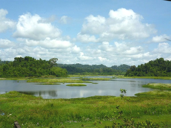 Nam Cat Tien National Park, biodiverse area, lowland tropical rainforest, Vietnam economy, Vietnamnet bridge, English news about Vietnam, Vietnam news, news about Vietnam, English news, Vietnamnet news, latest news on Vietnam, Vietnam