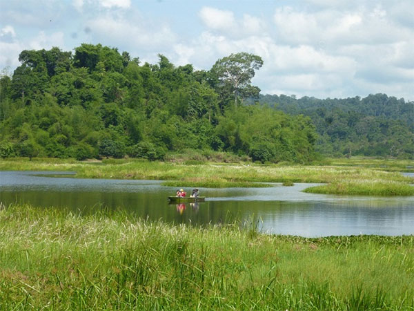 Nam Cat Tien National Park, biodiverse area, lowland tropical rainforest, Vietnam economy, Vietnamnet bridge, English news about Vietnam, Vietnam news, news about Vietnam, English news, Vietnamnet news, latest news on Vietnam, Vietnam