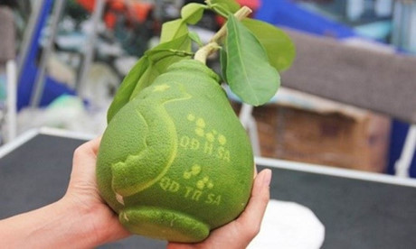 Image: New agricultural products all the rage ahead of Lunar New Year, special trees, unique trees, social news, vietnamnet bridge, english news, Vietnam news, news Vietnam, vietnamnet news, Vietnam net news, Vietnam latest news, vn news