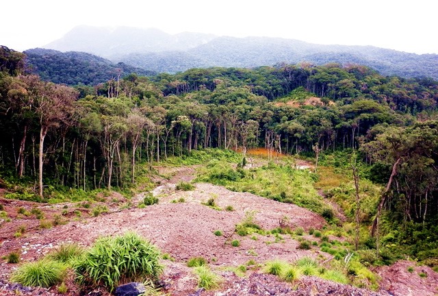 The most attractive trekking sites in central Vietnam, Ta Nang - Phan Dung, Bidoup - Nui Ba National Park, Hon Ba, Nui Chua, Vietnam guide, Vietnam airlines, Vietnam tour, tour Vietnam, Hanoi, ho chi minh city, Saigon, travelling to Vietnam