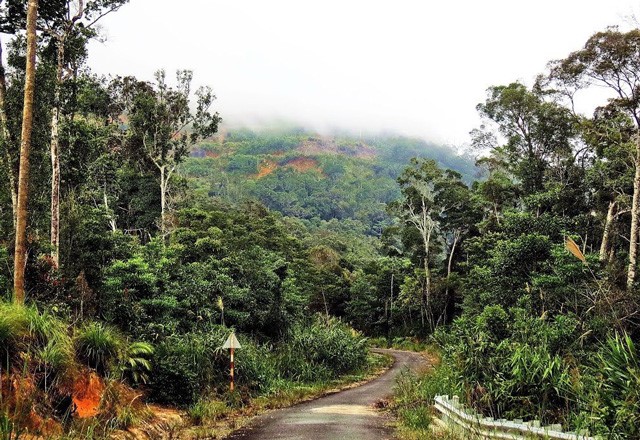 The most attractive trekking sites in central Vietnam, Ta Nang - Phan Dung, Bidoup - Nui Ba National Park, Hon Ba, Nui Chua, Vietnam guide, Vietnam airlines, Vietnam tour, tour Vietnam, Hanoi, ho chi minh city, Saigon, travelling to Vietnam