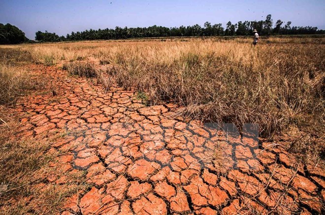 Texting campaign raises funds for drought, salinity-hit areas, social news, vietnamnet bridge, english news, Vietnam news, news Vietnam, vietnamnet news, Vietnam net news, Vietnam latest news, vn news, Vietnam breaking news