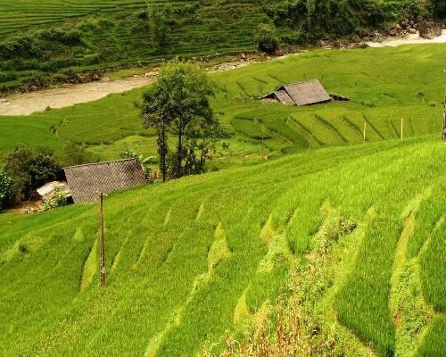 Mart du lich truc tuyen Viet Nam chinh thuc mo