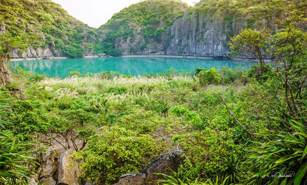 Dragon Eye Island, Ha Long Bay, Vietnam economy, Vietnamnet bridge, English news about Vietnam, Vietnam news, news about Vietnam, English news, Vietnamnet news, latest news on Vietnam, Vietnam