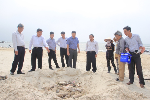 Panoramic view of mass fish death in central Vietnam, environmental news, sci-tech news, vietnamnet bridge, english news, Vietnam news, news Vietnam, vietnamnet news, Vietnam net news, Vietnam latest news, Vietnam breaking news, vn news