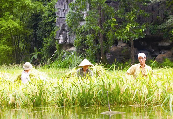 Tam Coc, simple wooden boats, Halong Bay on land, Vietnam economy, Vietnamnet bridge, English news about Vietnam, Vietnam news, news about Vietnam, English news, Vietnamnet news, latest news on Vietnam, Vietnam