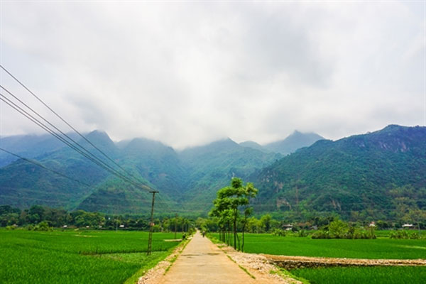 Mai Chau Homestay, Lac Village, Vietnam economy, Vietnamnet bridge, English news about Vietnam, Vietnam news, news about Vietnam, English news, Vietnamnet news, latest news on Vietnam, Vietnam