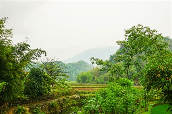 Mai Chau Homestay, Lac Village, Vietnam economy, Vietnamnet bridge, English news about Vietnam, Vietnam news, news about Vietnam, English news, Vietnamnet news, latest news on Vietnam, Vietnam