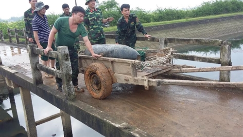 340kg bomb lifted successfully from a fish lake in Ha Tinh, Quang Nam raids illegal gold mining operations, New countryside programme, sci-tech development under review, HCM City seek ways to engage OVs’ brainpower