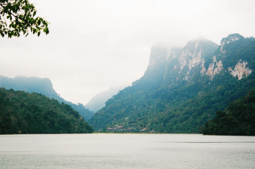 Eight forests suitable for nature enthusiasts in Vietnam, cuc phuong, nam cat tien, york don, u minh ha, travel news, Vietnam guide, Vietnam airlines, Vietnam tour, tour Vietnam, Hanoi, ho chi minh city, Saigon, travelling to Vietnam, Vietnam travelling