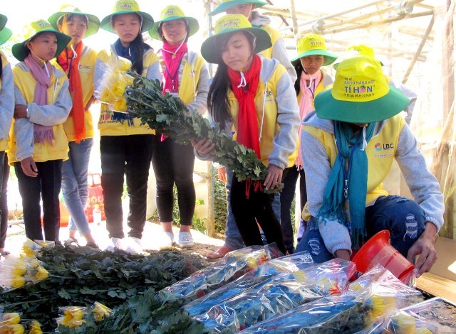 Summer camp brings valuable experiences to children, Danang dismisses officials following fatal tourist boat sinking, Quang Ninh: Lightning kills two, injures four, US expert trains doctors in palliative care